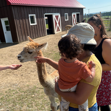 Charger l'image dans la galerie, Sortie en famille